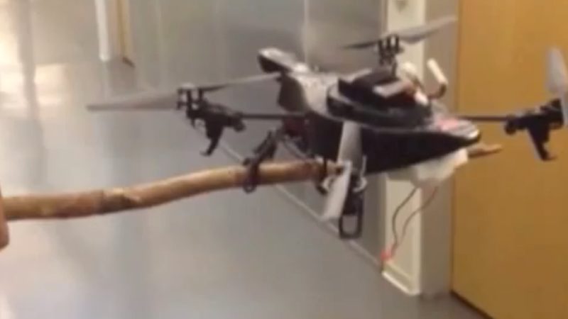 Jouer à drone perché ?