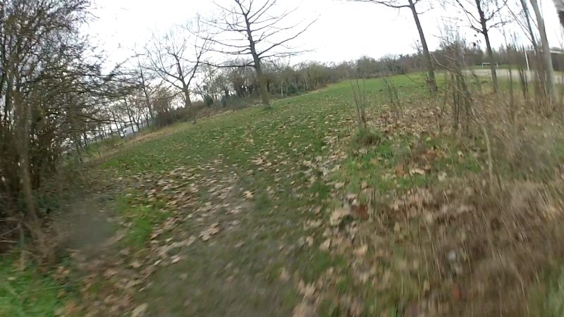 Immersion, low ou tree ?