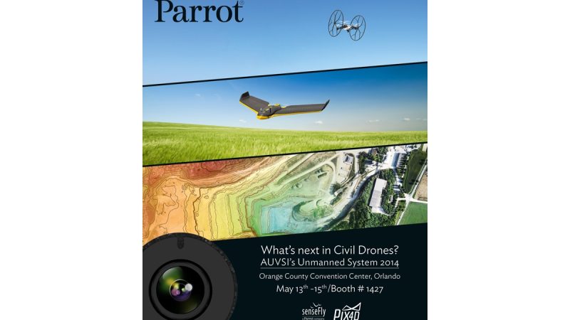 Live Parrot Bebop !