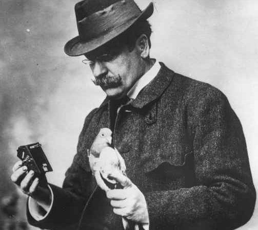Photos et pigeons