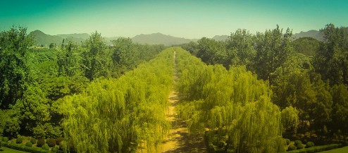 pekintreyratcliff3