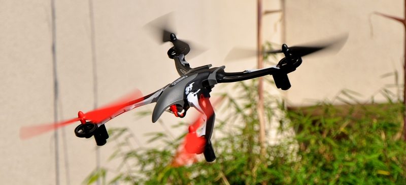 Dromida Ominus, le test