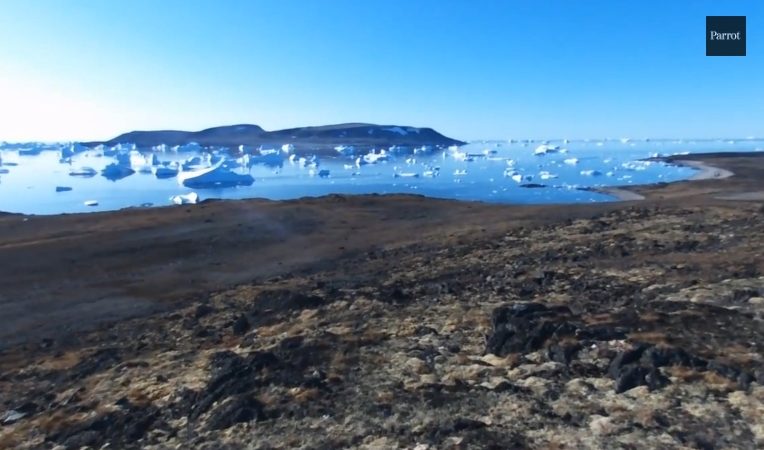 Bebop en Arctique