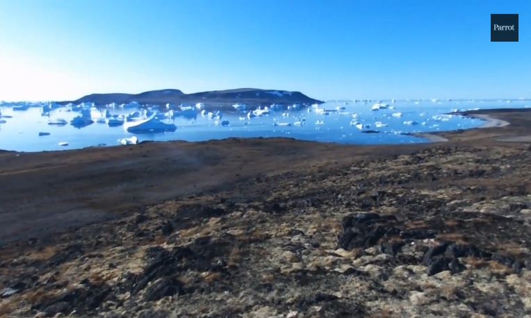 Bebop en Arctique