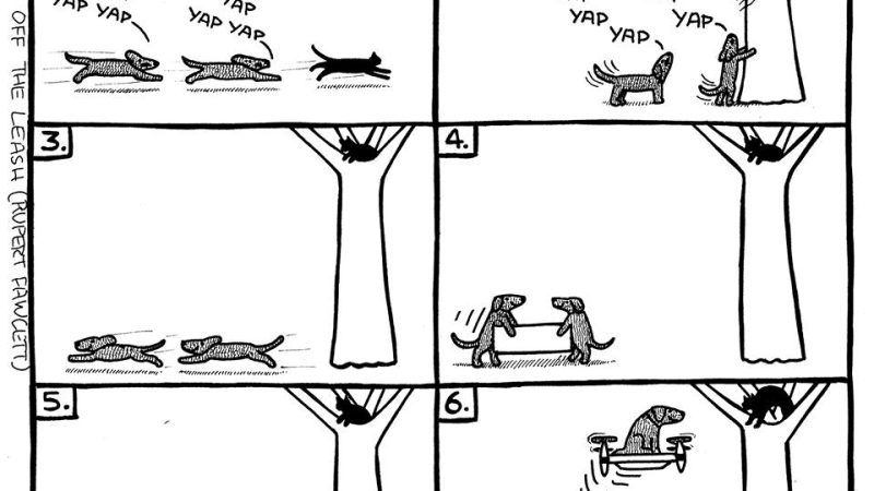 Dogs, drones, and cats
