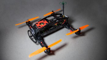 zigogne-01