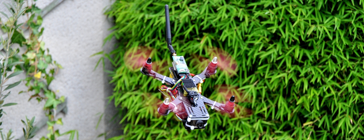 Aero-Tek J-Mini Cricket, le test