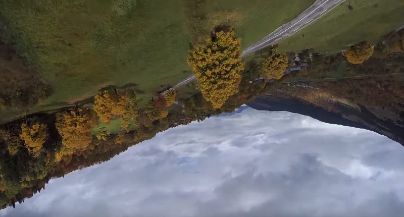 Autumn run