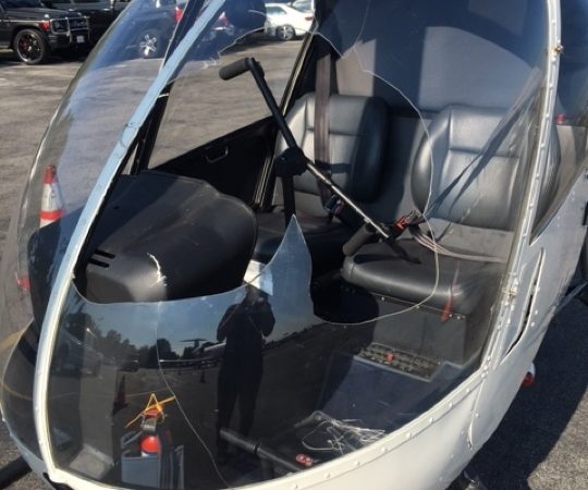 Drone ou oiseau ?