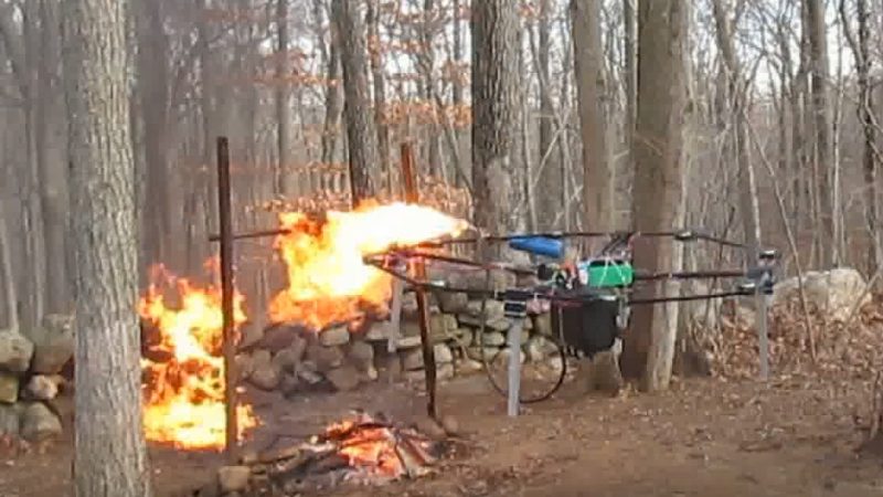 Dinde et drone