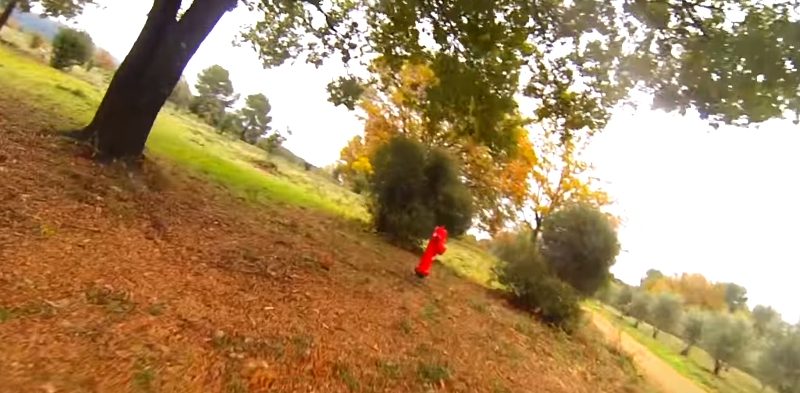 Friendly Trees