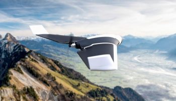 parrot disco 04