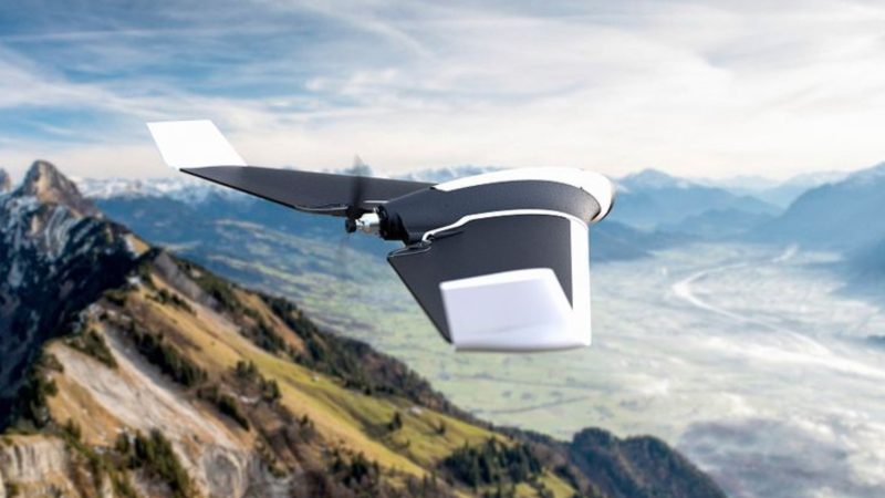 Parrot Disco