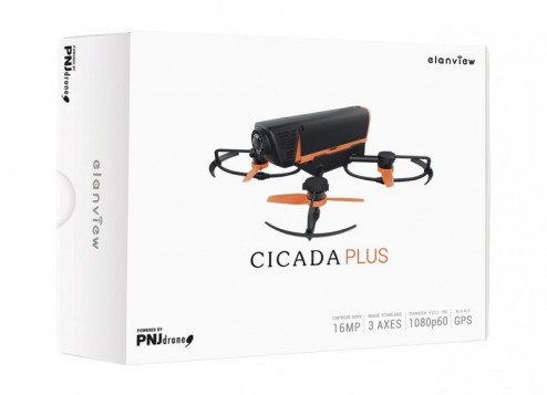 cicada-plus-5