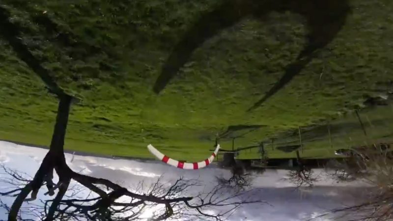 Next Level 3D Race