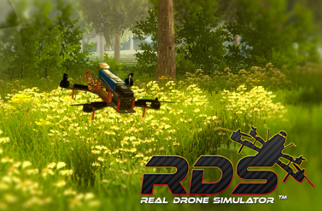 Real Drone Simulator