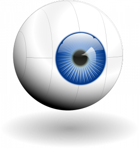 eye