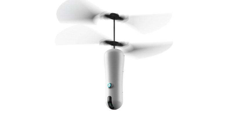 IoT Group Roam-e
