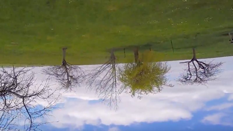 Three D Trees