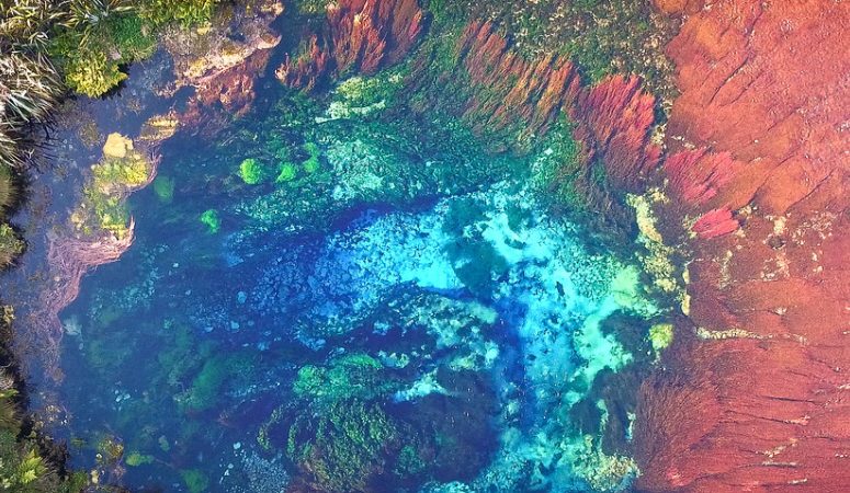 Aotearoa – New Zealand