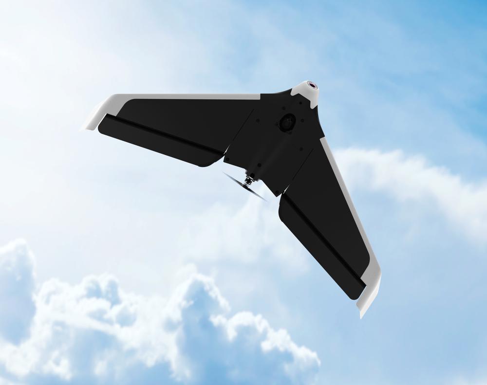 Parrot Disco, les informations et le live !