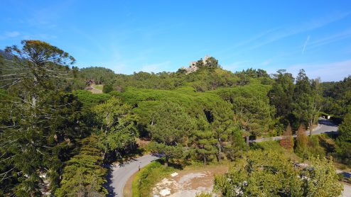 DJI 0033