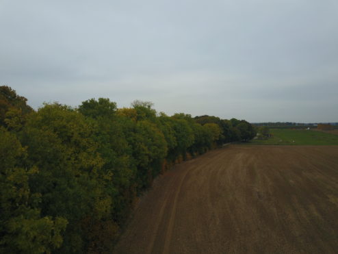 DJI 0043