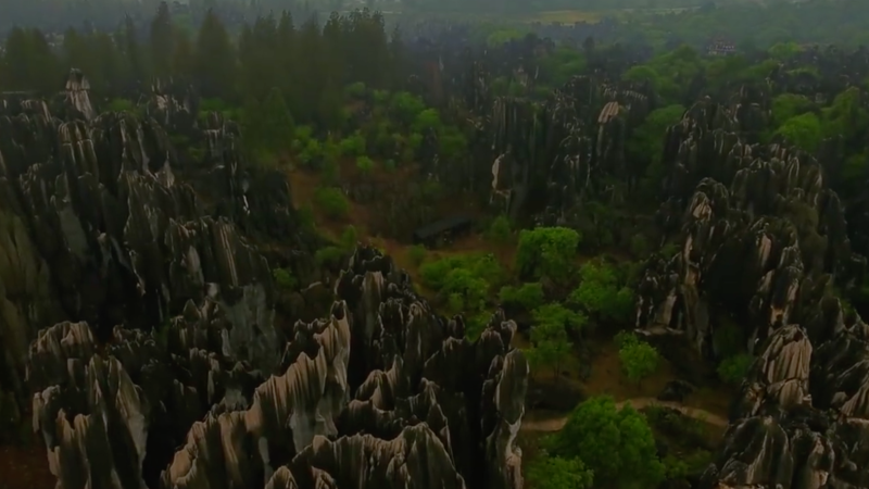 The Mysterious Stone Forest