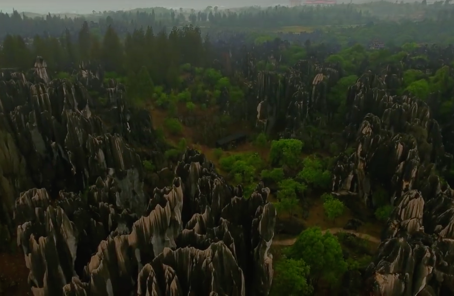 The Mysterious Stone Forest