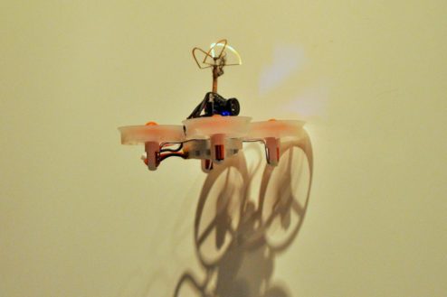 DSC 0013 1200