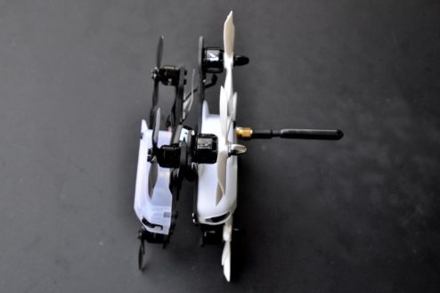 DSC 0055 1200