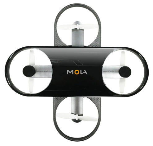 mola x 06