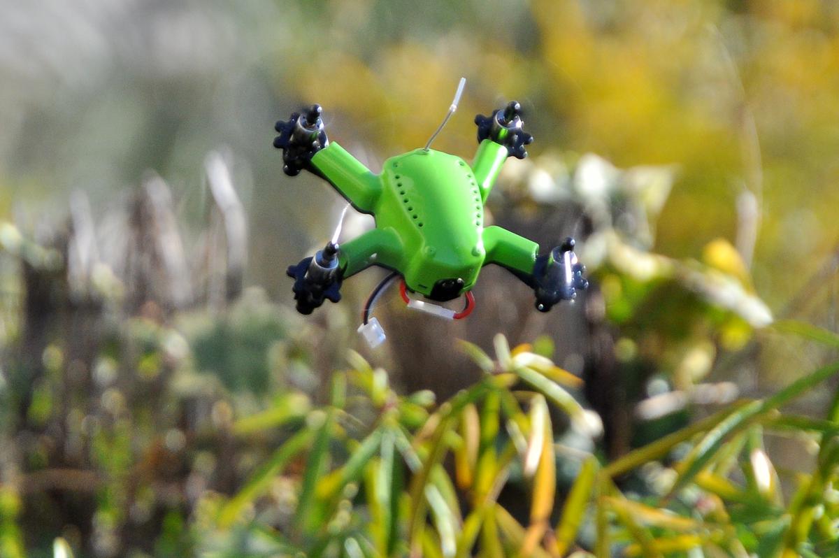 Eachine Flyingfrog Q90, le test