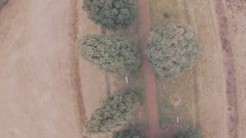 Arturo FPV : Northern Light