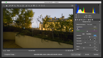 dji 001 adobe