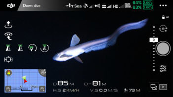 DJI rovinspire 01