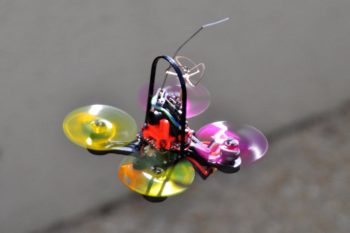 DSC 0324 1200