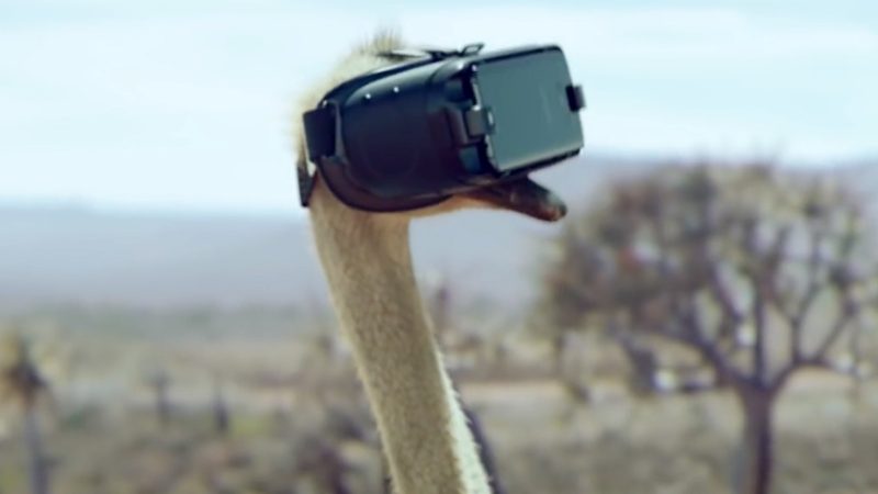 Samsung, le masque VR et l’autruche