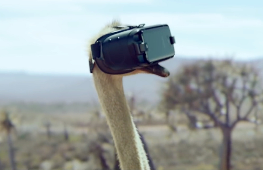 Samsung, le masque VR et l’autruche