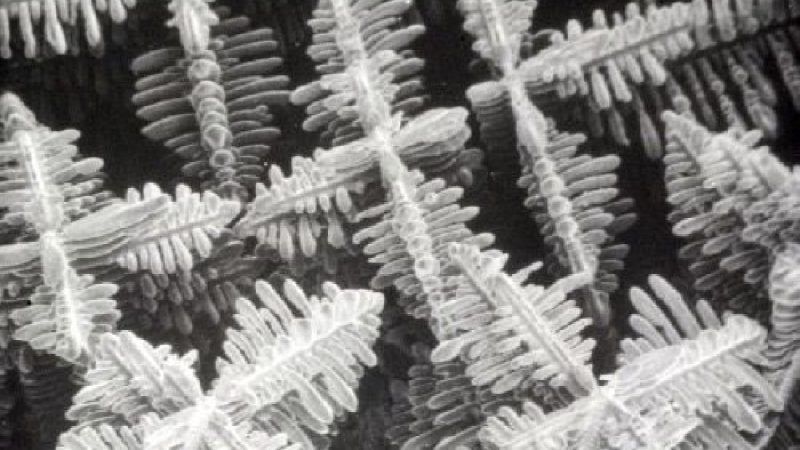 Batteries à électrolytes en verre solide, faut-il y croire ?