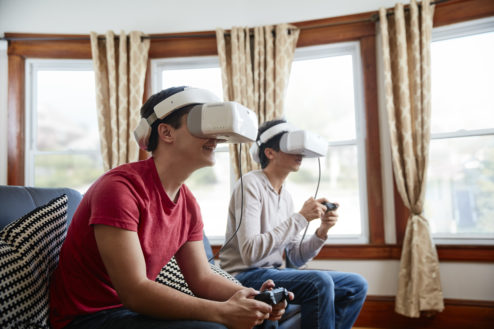 DJI Goggles Living Room