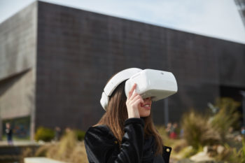 DJI Goggles Onboard Controls