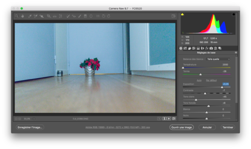 DJI Inspire 2 et X5S, la preview 19 DJI 0088 opendng