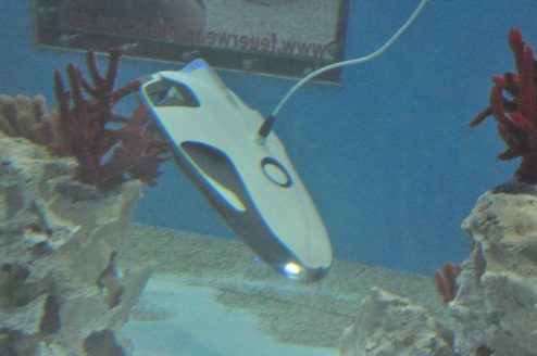 DSC 0095 1200