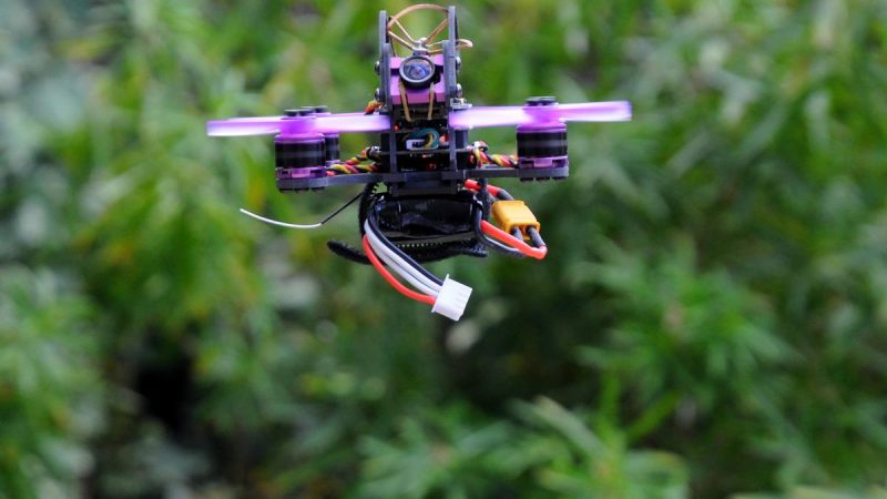 Eachine Lizard 95, le test