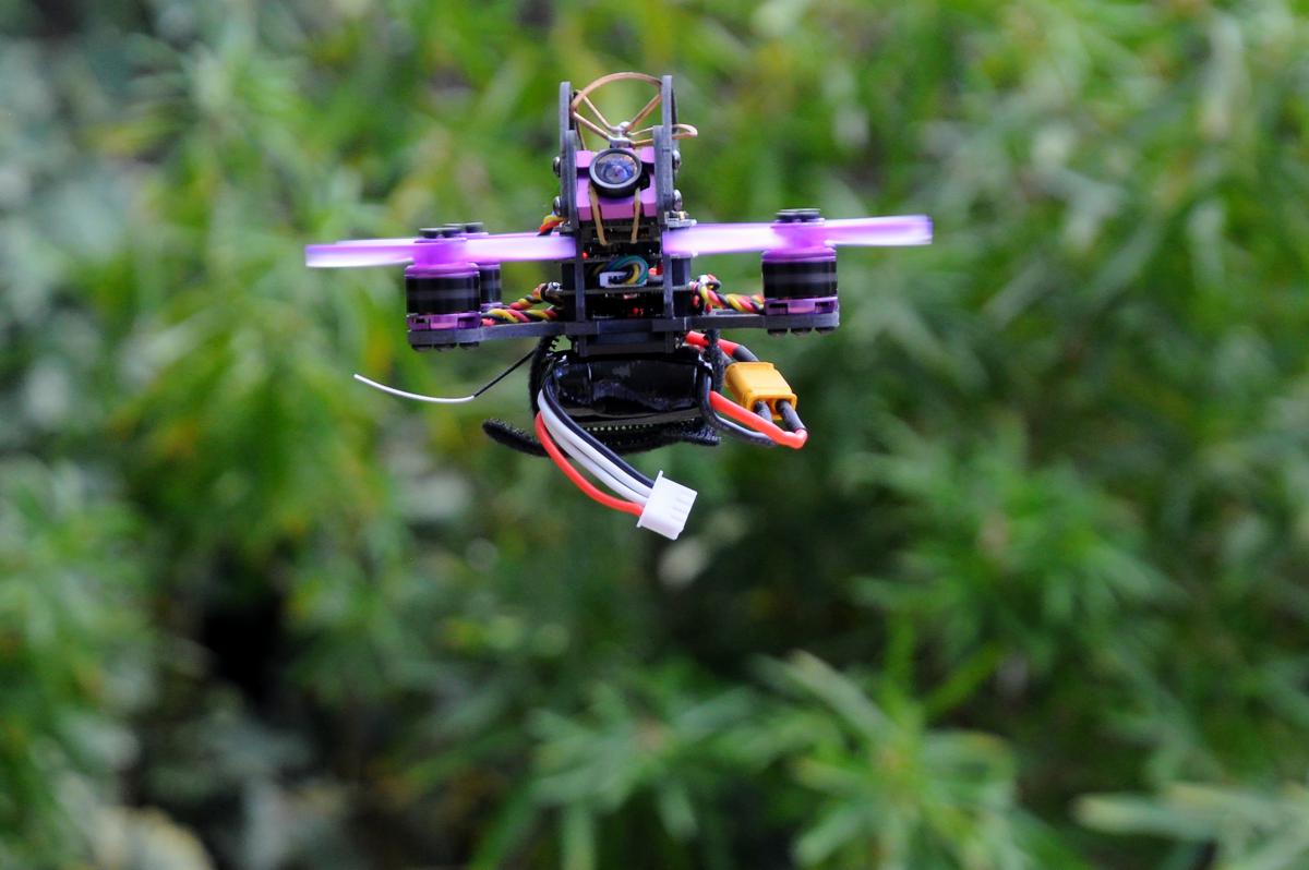 Bon plan : le Lizard95 de Eachine en promo !