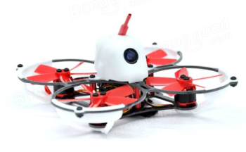 butterfly 84 01