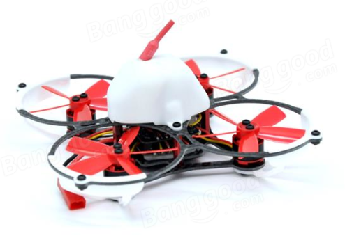 butterfly 84 03