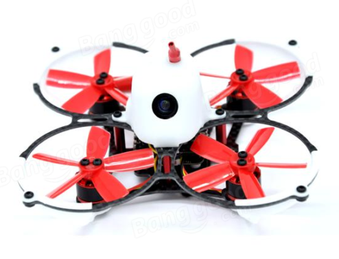 butterfly 84 04