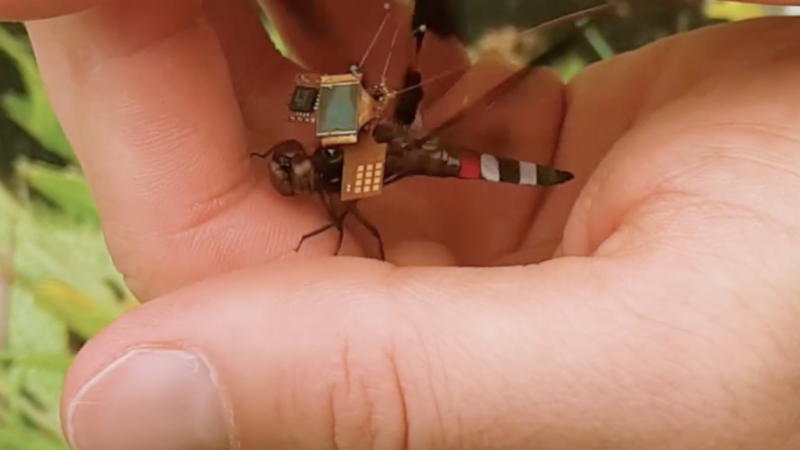 DragonflEye, les premiers essais